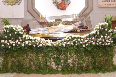 1 novembre 2010 - L`urna di Don Bosco a Seul.