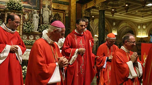24 maggio 2015 - Celebrazione eucaristica presieduta dal Rettor Maggiore, Don ngel Fernndez Artime.