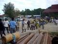 Isola di Gizo – aprile 2007 – La lunga catena per lo scarico degli aiuti umanitari.