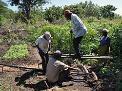 Photo de l'article -MOZAMBIQUE  UN PROJET SOCIAL POUR UNE ZONE RURALE
