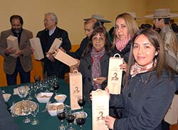 Photo for the article -CHILE  BICENTENARY WINE