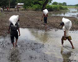 Photo de l'article -MYANMAR -  LAIDE DES SALSIENS CONTINUE