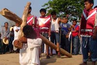 Photo for the article -MEXICO MISSIONARY YOUTH EXPERIENCE IN HOLY WEEK