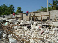 Photo for the article -HAITI  LIFE BEGINS AGAIN