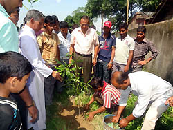 Photo for the article -INDIA – THE “GO GREEN” PROJECT TAKES OFF 