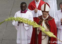 Photo for the article -RMG  JOY, CROSS, YOUNG: THE THREE WORDS OF POPE FRANCIS FOR PALM SUNDAY