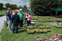 Photo for the article -IRELAND  ACRE PROJECT: 2ND ANNUAL PLANT SALE